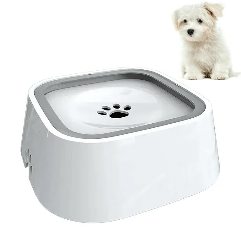 LoyalPup Okos itató