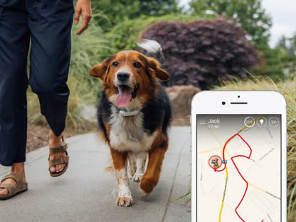 LoyalPup Nyomkövető nyakörv