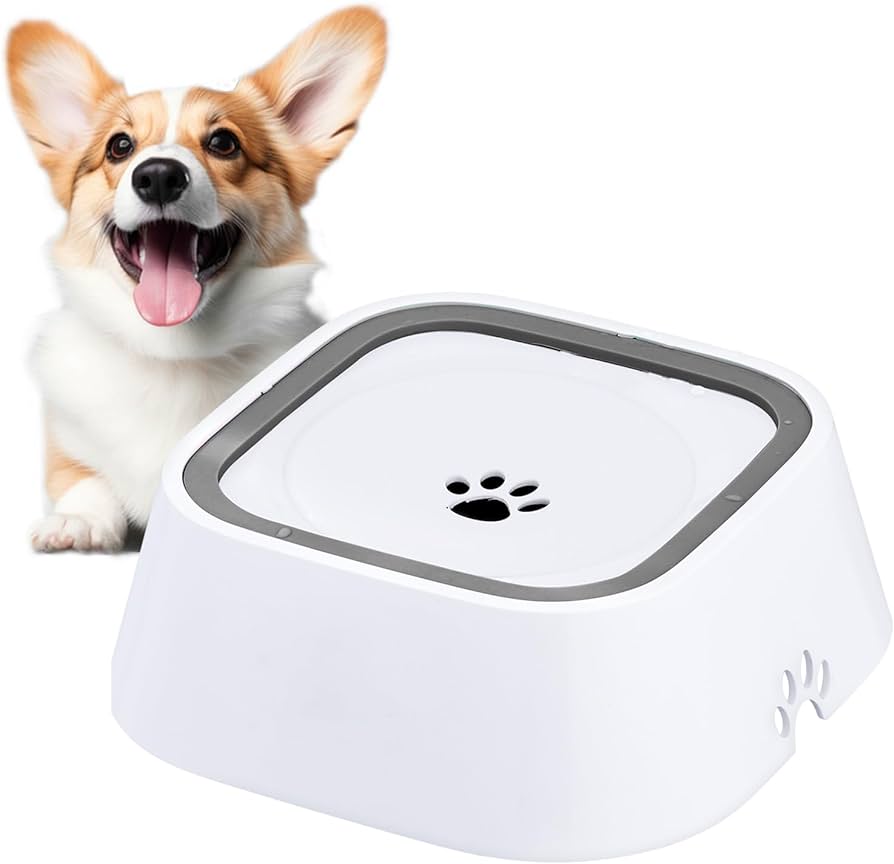 LoyalPup Okos itató