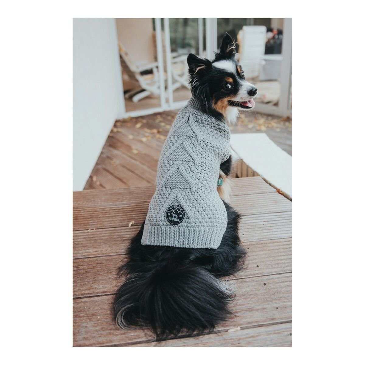 Loyal Pup - www.nimloadshop.com