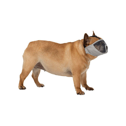 Loyal Pup - www.nimloadshop.com