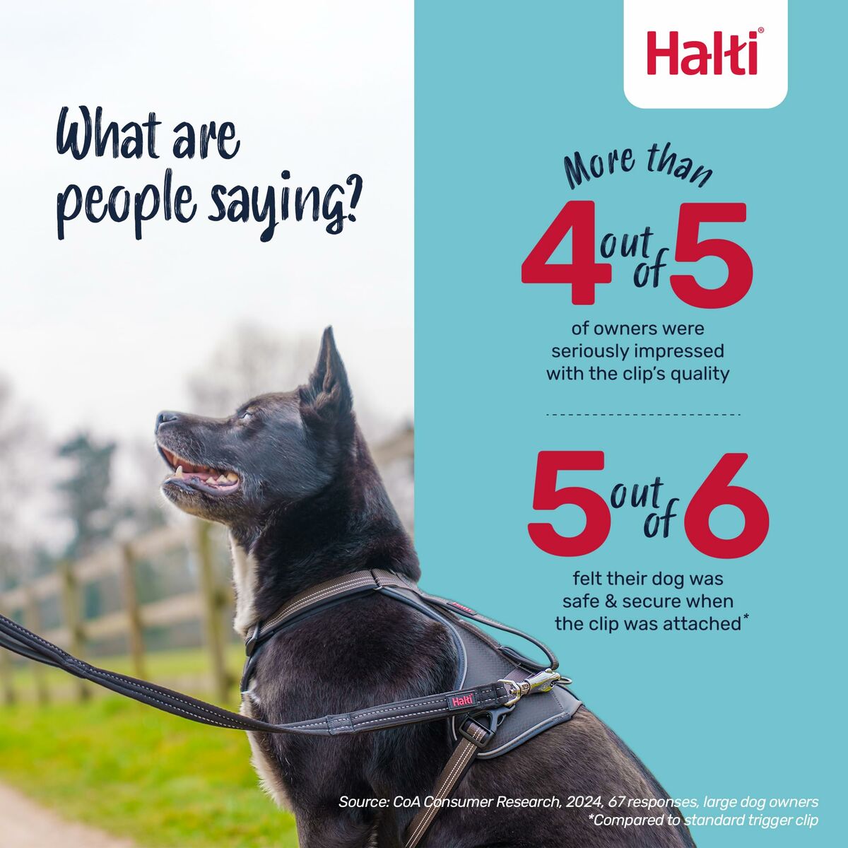 Loyal Pup - www.nimloadshop.com